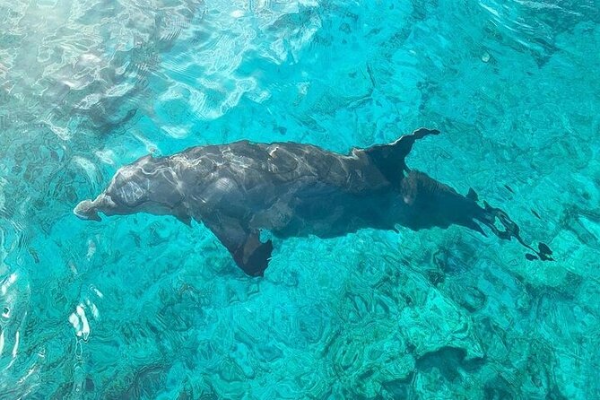Half Day Snorkeling, Sightseeing & Island Hopping Private Charter - Why the private crew matters
