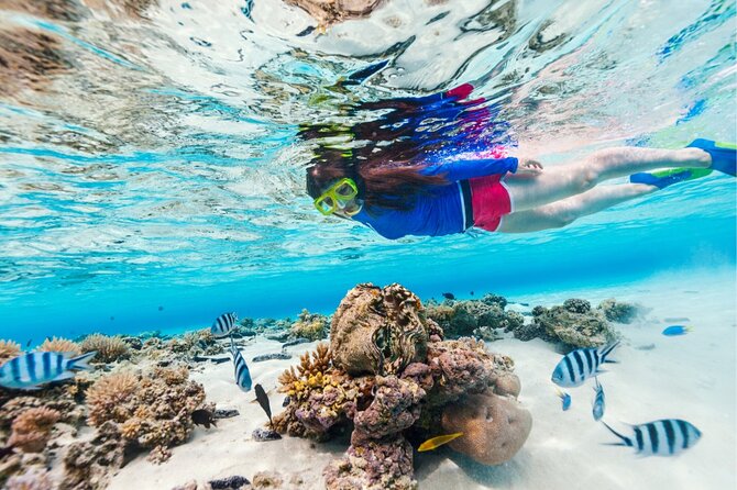 Half Moon Bay Jet Ski Tour & Snorkeling the La Famille Shipwreck - Little Water Cay, Water Cay, and the island views