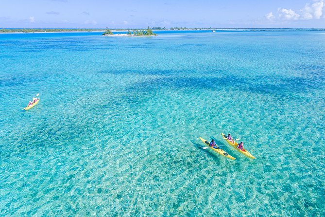 Kayak Eco Tour - Key points at a glance