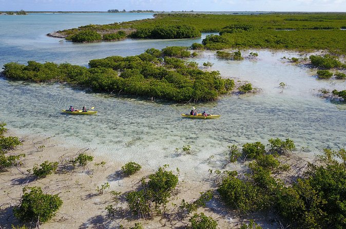 Kayak Eco Tour - How weather can change the outing