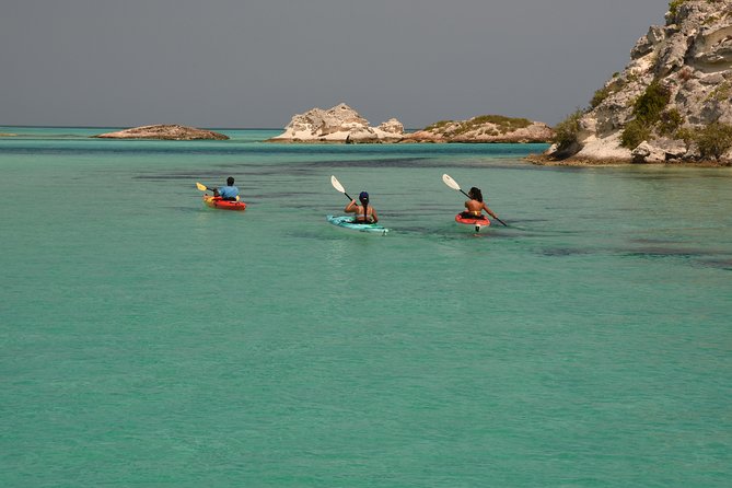 Kayak Eco Tour - Starting at Leeward Marina