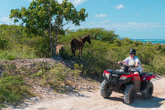Lets Ride Adventures ATV Tour in Grand Turk - Finding the meeting point outside Grand Turk Cruise Port