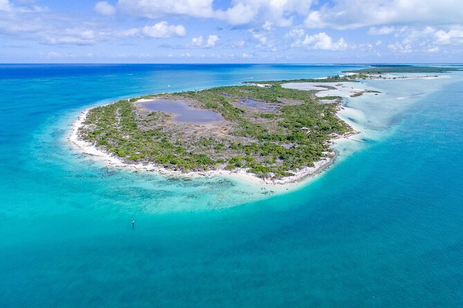 Mangrove Cay and Iguana Island Tours - Key points before you book