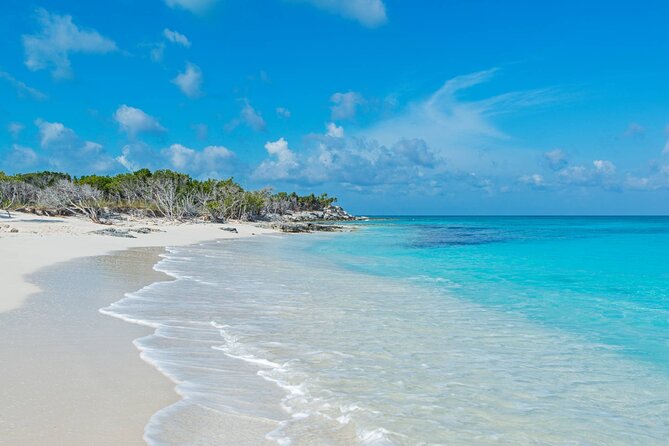 Mangrove Cay and Iguana Island Tours - The guides can make or break the morning