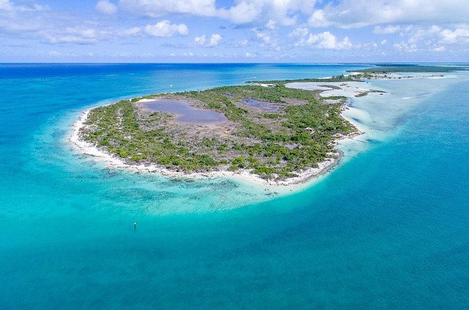 Mangrove Cay and Iguana Island Tours - Is $150 a fair price?