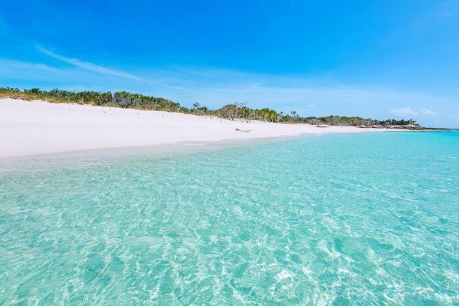 Mangrove Cay and Iguana Island Tours - What to pack for a dry, comfortable outing