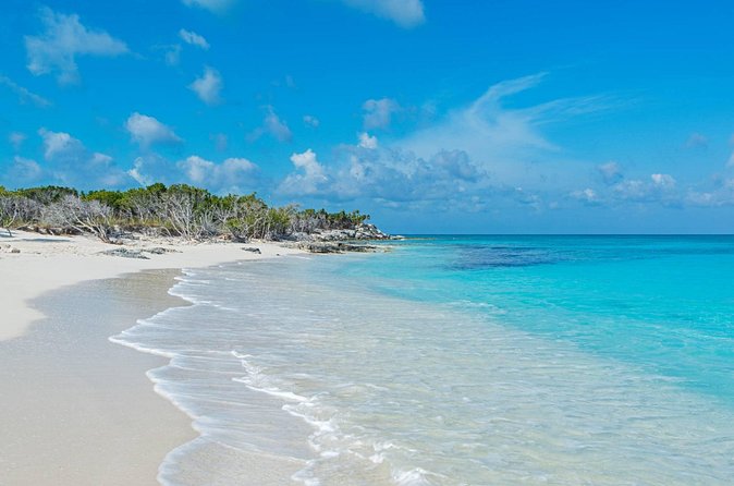 Mangrove Cay and Iguana Island Tours - Who will enjoy this tour most?
