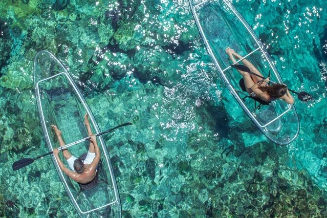 Mangrove Cay Tour - Key points to know before you book