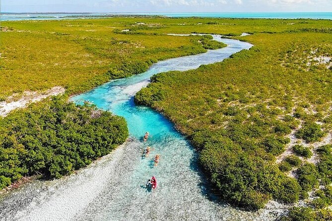 Mangrove Cay Tour - Paddling through Mangrove Cay