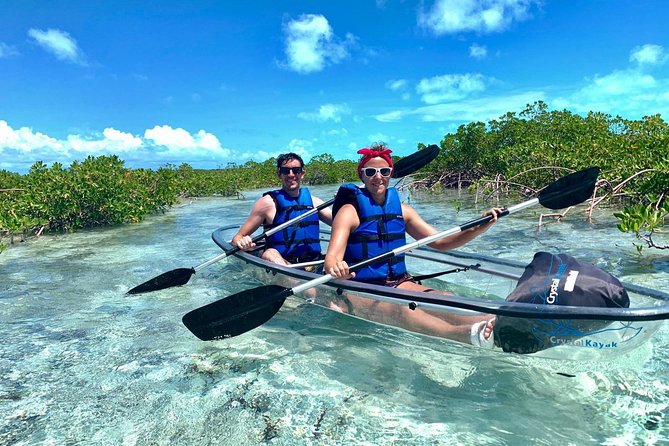 Mangrove & Iguana Clear Kayak Tour - Starting at Leeward Marina