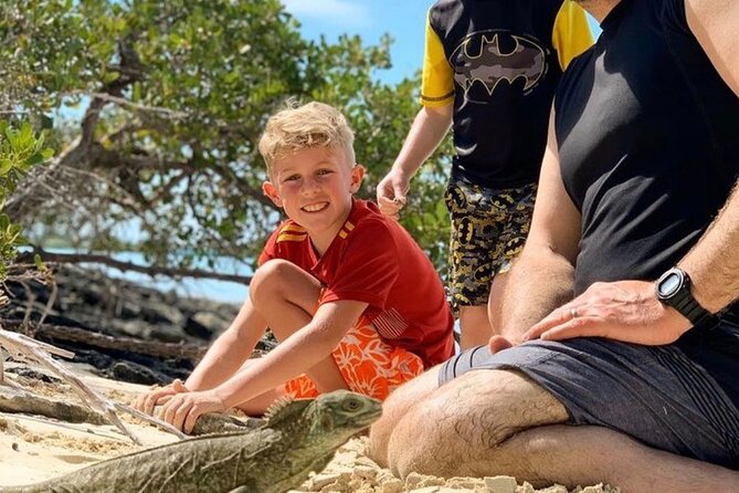 Mangrove & iguana Tour - Why This Short Tour Works So Well