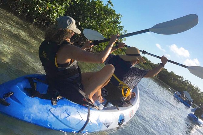 Mangroves Kayak Tour - Key points at a glance