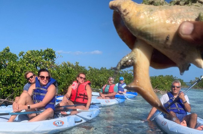 Mangroves Kayak Tour - The role of tide, wind, and timing