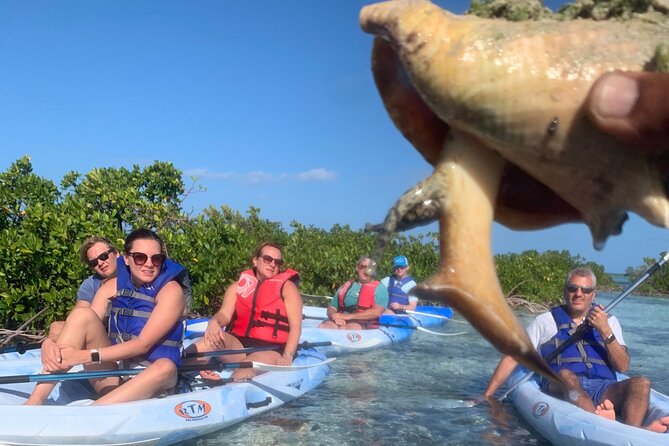 Mangroves Kayak Tour - Guides who add humor and practical help