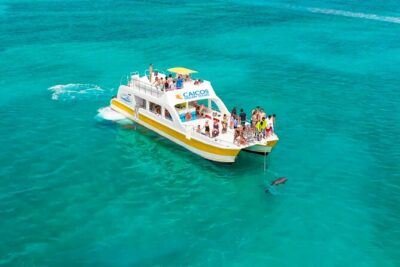 Morning Half Day Cruise from Providenciales with Snorkeling and Iguana Island