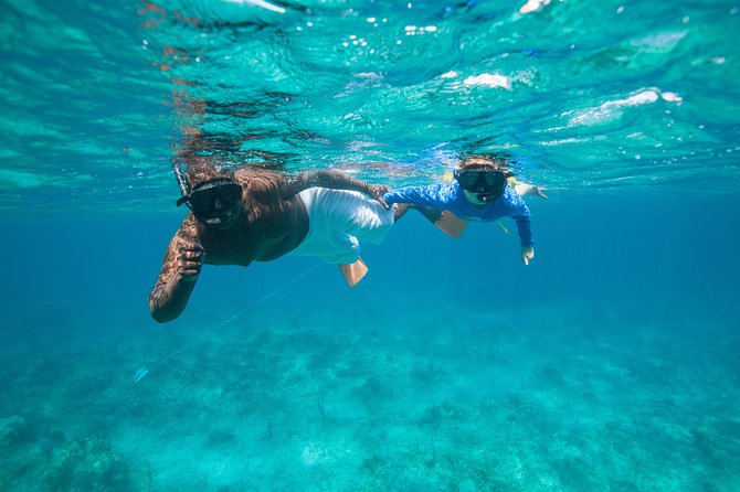 Morning Half Day Cruise from Providenciales with Snorkeling and Iguana Island - Crew service, safety, and the group atmosphere