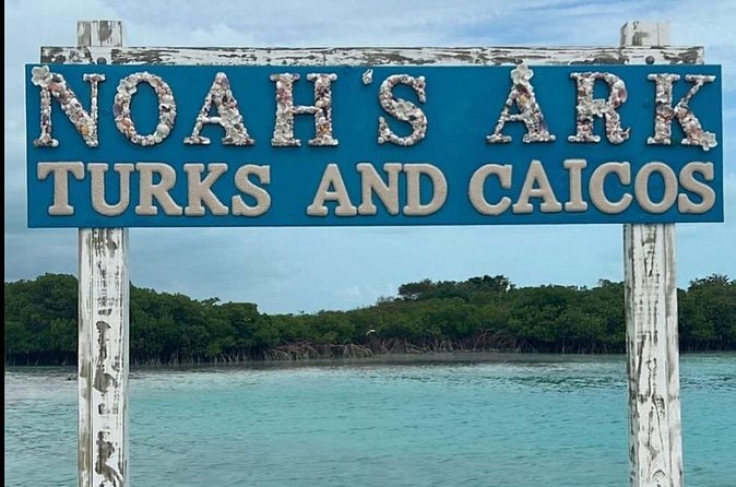 Noahs Ark Catamaran Trip - What to bring and how to prepare