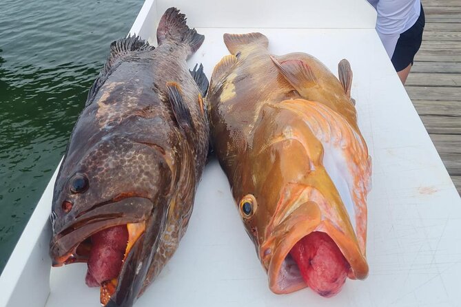Private 1/2 Day Afternoon Bottom Fishing Charter on "Shady Grady" - Bottom fishing on Providenciales outer reefs