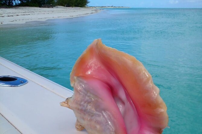 Private 1/2 Day Afternoon Snorkel / Cruise on "Shady Grady" - Cruising, music, drinks, and a slower pace