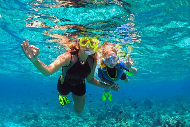 Private 1/2 Day Afternoon Snorkel / Cruise on "Shady Grady" - Snorkeling over Turks and Caicos reefs