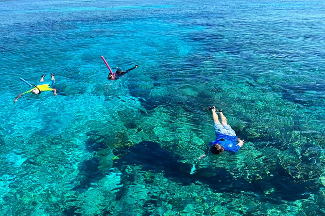 Private Boat Island Hopping & Snorkeling in Turks & Caicos 4Hrs - Cruising past the Conch Farm