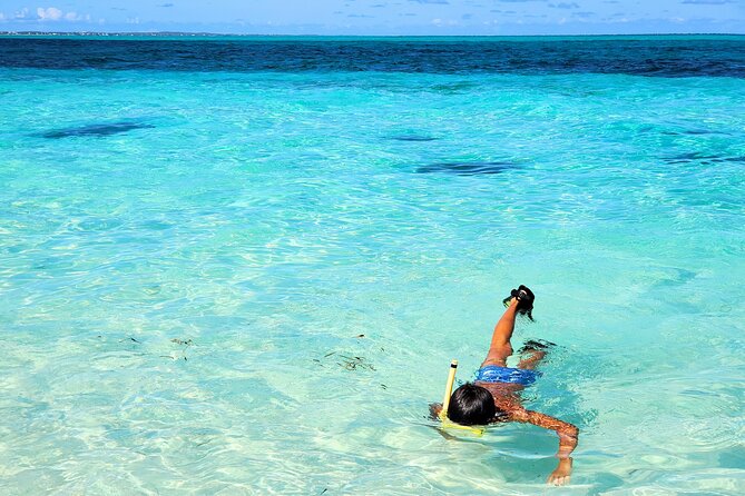 Private Boat Tour with Snorkeling, Island Hopping, and Noahs Ark - Who Will Enjoy This Tour Most