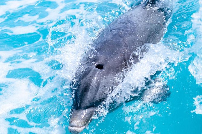Private Boat Tours to outer islands, snacks drinks- snorkel- cruise! - Weather, timing, and the one serious concern