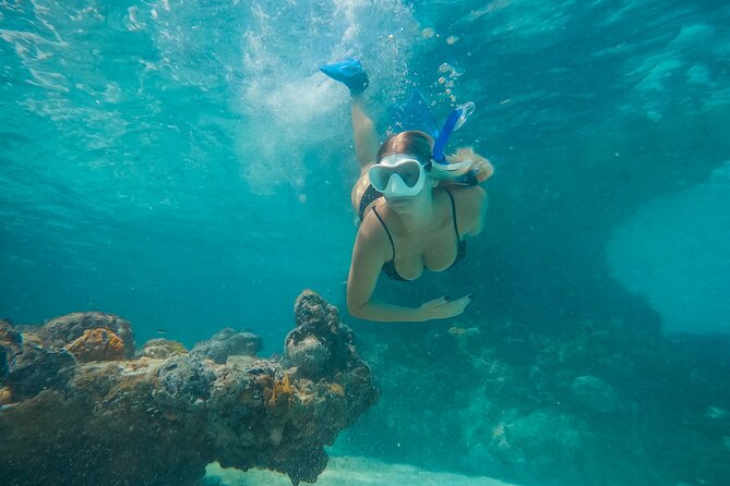 Private Half Day Luxury Snorkeling Charter - A Private Start From Marina Road
