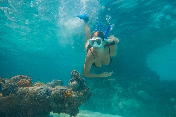 Private Half Day Luxury Snorkeling Charter - What $1,800 Means for Your Group