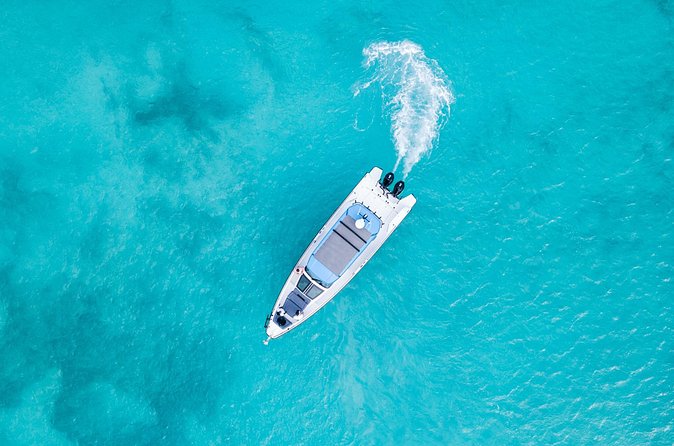 Private Half Day Luxury Snorkeling Charter - Who Will Enjoy This Charter Most
