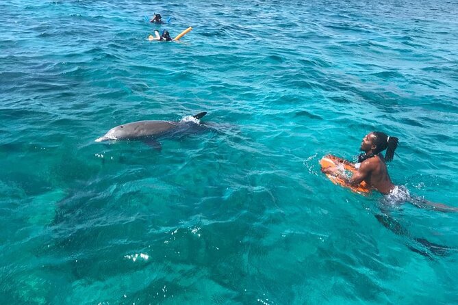 Private Reef, Beach and Sandbar Tour from Providenciales - Lunch, drinks, and the practical value of the package