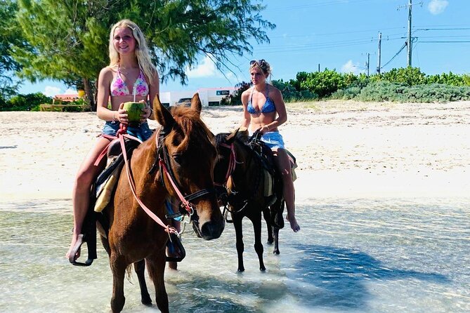 Shared Horseback Riding in Turks and Caicos - From Providenciales pickup to the Wheeland riding site