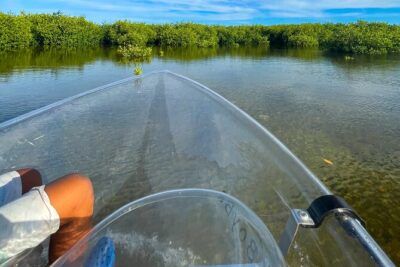 Sip & Sea Mangrove Glass Boat Tour Grand Turk Island
