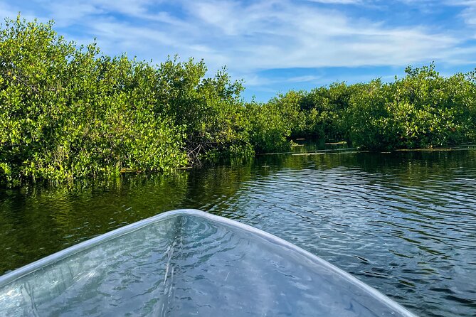 Sip & Sea Mangrove Glass Boat Tour Grand Turk Island - A private trip with a personal feel
