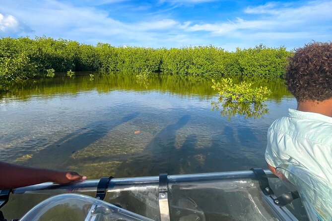 Sip & Sea Mangrove Glass Boat Tour Grand Turk Island - How much value do you get for $105?