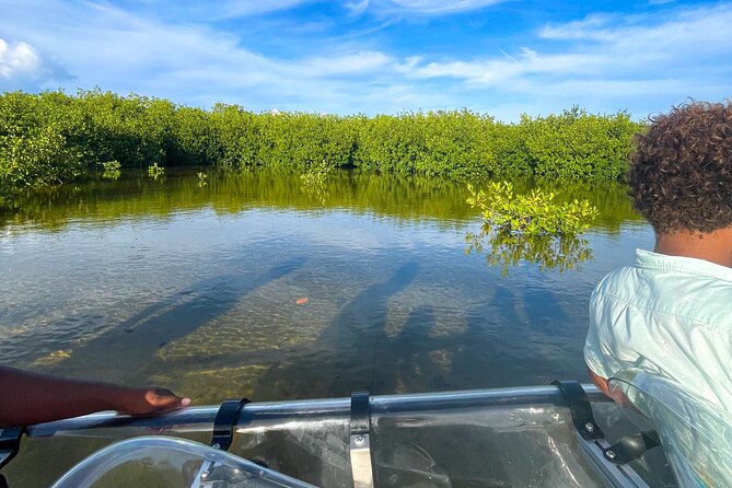 Sip & Sea Mangrove Glass Boat Tour Grand Turk Island - Timing, weather, and what to bring