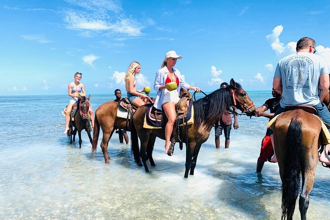 Small Group Horseback Riding Adventure in Caicos Islands - Starting on Malcolm Road in Wheeland Settlement