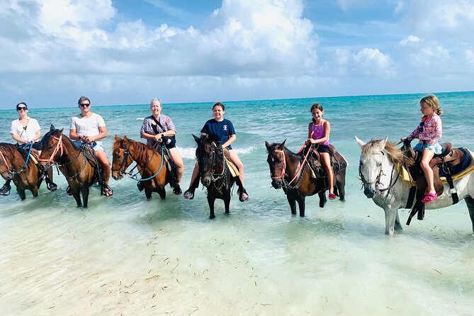 Small Group Horseback Riding Adventure in Caicos Islands - Is $210 a fair price for one hour?