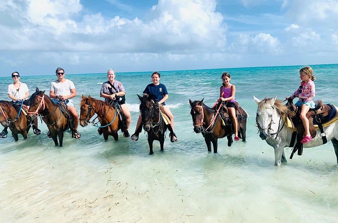 Small Group Horseback Riding Adventure in Caicos Islands - Who will enjoy this ride most?