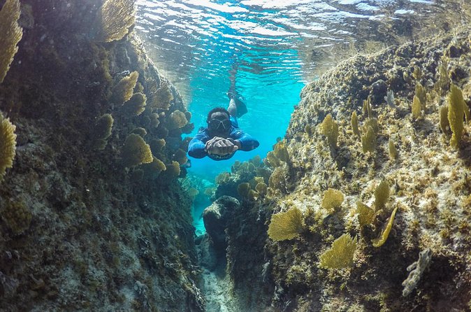 Snorkel Eco Tour - Who should book this eco tour?