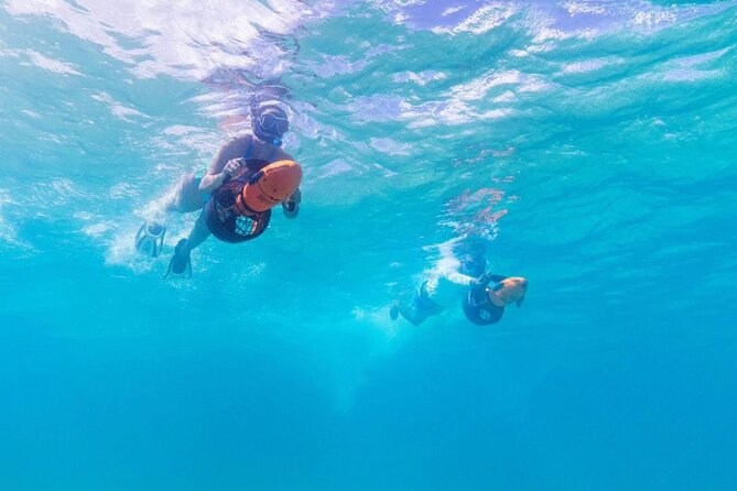 Snorkeling with Sea Scooters and Sea Adventure - Offshore - Is $189 a fair price?