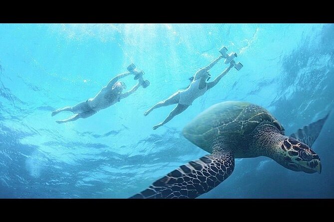 Snorkeling with Sea Scooters and Sea Adventure - Offshore - Who will enjoy this most