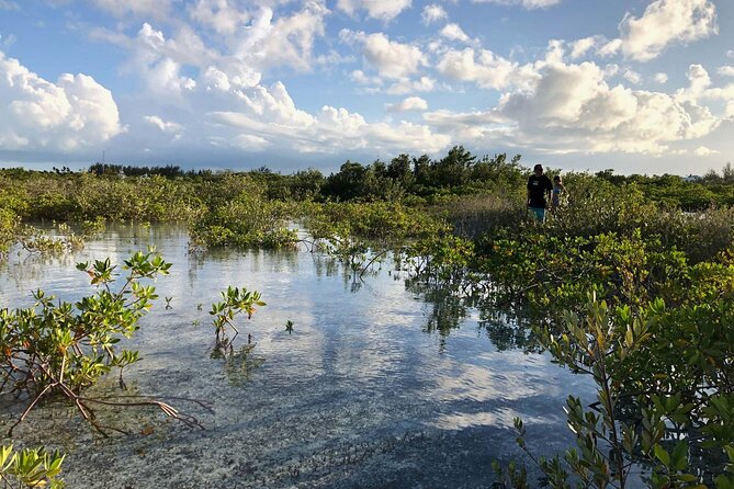 Snuba Adventure at Emerald Reef - Who will get the most from this experience