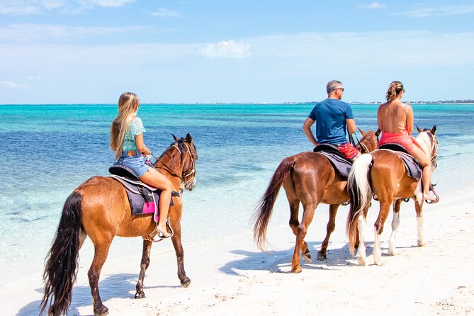 Spectacular Private Beach & Ocean Ride in Providenciales - Getting Comfortable in the Saddle