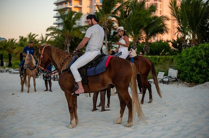 Spectacular Private Beach & Ocean Ride in Providenciales - Price, Value, and the One-Hour Limit