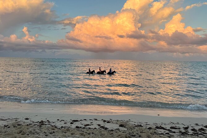 Sunset Horse Ride Experience - Who will enjoy this ride most