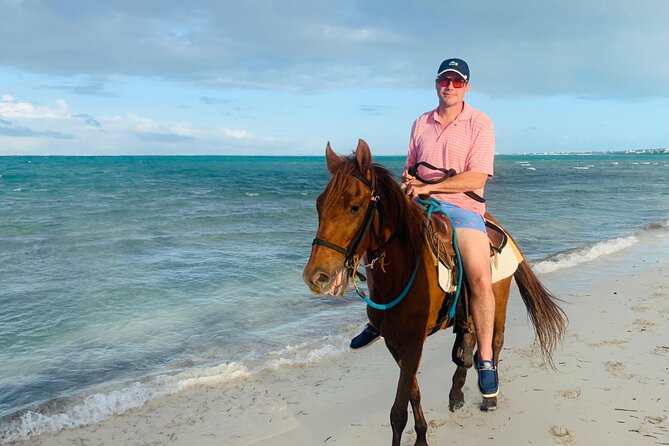 Sunset Horse Ride Experience - Meeting the horses before the beach