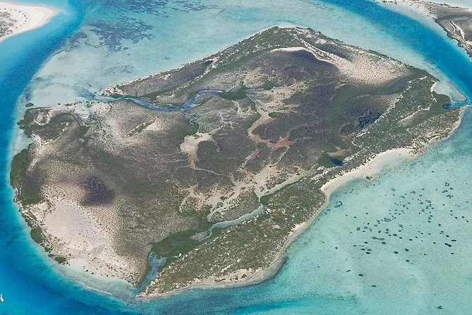 Turtle Eco Tour on Stand-Up Paddleboards or Kayaks into the National Marine Park - Finding turtles, sharks, and rays