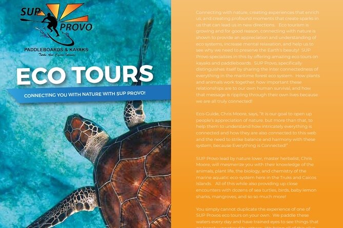 Turtle Eco Tour on Stand-Up Paddleboards or Kayaks into the National Marine Park - Starting at Heaving Down Rock