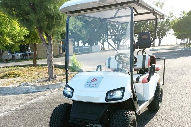 Watkins UTV American Golf Cart Rentals - Key points before you book